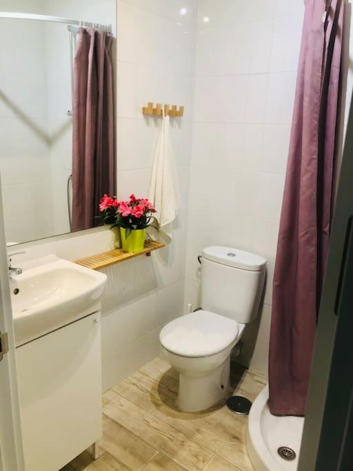 Apartment Centrico Piso Con 2 Camas De Matrimonio